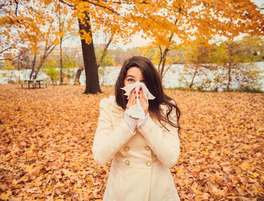 AdobeStock_294674915-850x650-crop