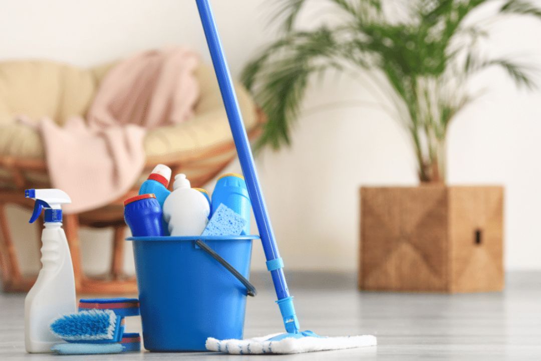 house-cleaning-101