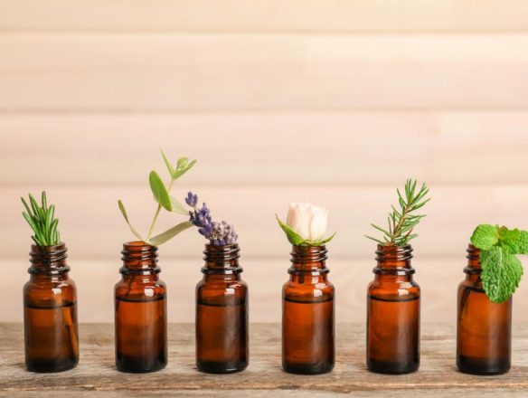adobestock-230655454-850x650-crop-584x446x0x3x584x440x1659031626