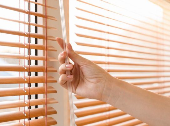 adobestock-320287273-850x650-crop-544x416x0x6x544x404x1658945459