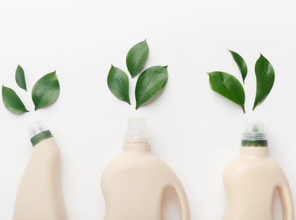 adobestock-327798444-850x650-crop-592x453x0x6x592x440x1659039401
