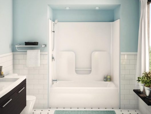 bathtub-fitter-shower-850x650-crop-529x404x0x3x529x398x1658513537