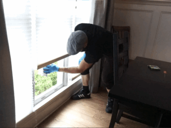 Cleaner Cleaning Window