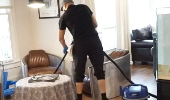 Cleaner Using Vacuum Cleaner on Floor